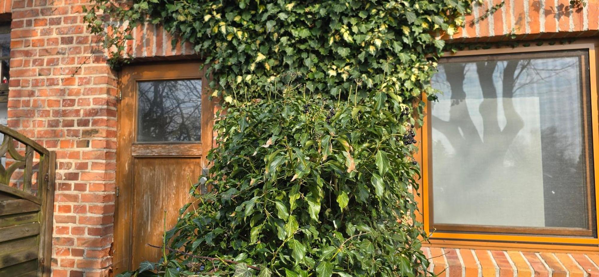 Ferienwohnung NH5 Hirschburg Exterior foto